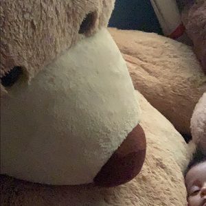 Meet your Posher, Cesar